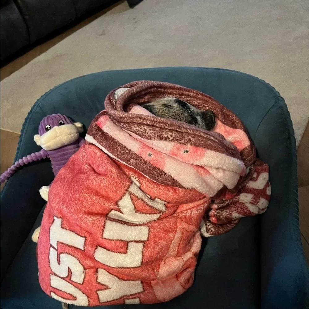 Cozy Pink Dog Blanket